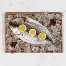 해풍건조 국내산 반건조 생선 참돔 마른생선 농어 제수용생선 활어사용, 3개, 반건조농어(30cm이상)