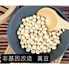 【沖泡穀粉小舖】加拿大嚴選非基因改造生黃豆 (未磨粉) - 夾鏈袋真空包裝, 1個, 300g