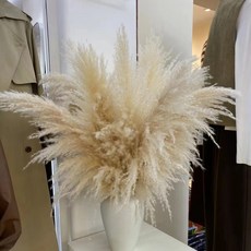 新竹出貨 大繐天然蘆葦幹花花束 網紅真花客廳落地擺設蒲葦室內裝飾, 進口90厘米10支穗長約50厘米