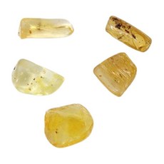 과학수업용 소나무송진 호박화석 5개/ 체험 암석층 방과후학습, 1세트