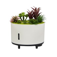 Sanzon 仿真植物香薰加濕器，藍牙音樂火焰擴香機, 如圖所示, 款式3