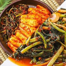 기타 [T]밥에는김치 국산 시원한 열무김치 3kg+밥도둑 총각김치 3kg