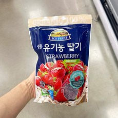 냉동 유기농 딸기, 단품, 1개, 500g