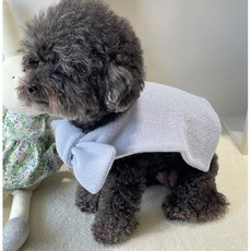 페시얌 강아지옷 코디완성 니트 숄 가디건 악세사리, 소라, 1개