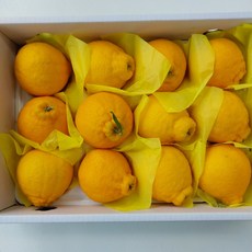 제주만감류 한라봉 레드향 천혜향 혼합세트, 1박스, 5kg(대과)