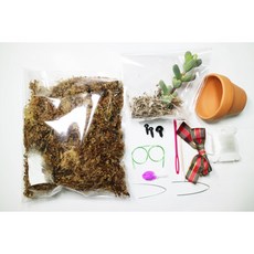 [쩡토피어리]다육토피어리 DIY-화분, 1개