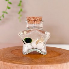 토단 유리병 마리모 키우기 DIY - (별모양 유리병), 1개