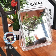 透明亞克力雙面化妝鏡 自由翻轉桌面台式鏡, 升級款透明方形鏡1個+小圓鏡1個