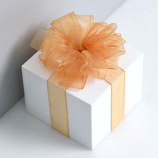 리본리에 무지 오간디 리본 끈, 25mm(50yd), 19.연갈색