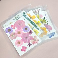 천연 말린 꽃잎 혼합 컬러 압화 재료 생화 잎 누름 꽃 수공예 DIY 공예 카드, F