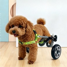 시컬리 강아지 휠체어 보행기 반려견 보조기, 이륜 구동, 기본, 1개