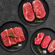 [투뿔한판]국내산 한우 1++등급 구이모둠 700g (보섭200/설깃200/우둔(스테이크)300), 없음