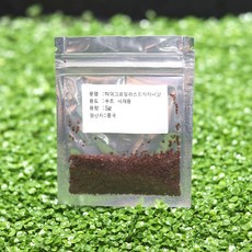 관상어전문몰 녹색수초 씨앗수초 하이그로필라스트릭타 5g, 1개