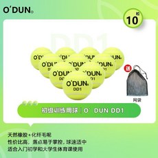 O'DUN DD1 訓練網球 10入裝 加贈網袋, 1個, 歐頓DD1網球【10個】送網袋