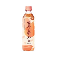 생찻잎을 우려내 깔끔한 생차 호지차, 500ml, 40개