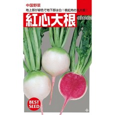 野菜部屋 中國野菜 紅心大根種子 圓形桃紅種子, 1包