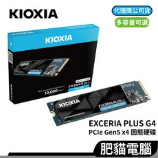 KIOXIA 鎧俠 PCIe Gen5 M.2 SSD 固態硬碟, Exceria PLUS G4【1TB】
