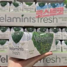 벨라민츠 후레쉬 스피어민트 캔디, 9개, 20g