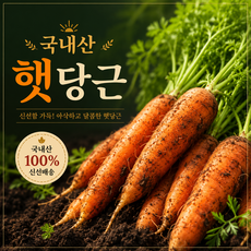 [초특가] 국내산 햇 흙당근 아삭달큰 고당도 산지직송, 1박스, 중3kg