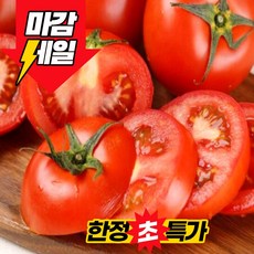 [한정초특가] 딱하루100박스 고당도 정품 완숙토마토, 1박스, 5kg