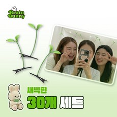 해핑유 단체행사 파티 콘서트 머리핀 30p