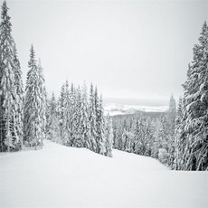 스튜디오배경지 유튜브 설산 설경 촬영 프레임, 1.5x2m, 1개, 연그레이