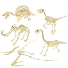 3D입체형 공룡뼈 조립 (2종 택1)
