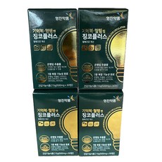 은행잎추출물 혈행개선 영양제 기억력 혈행엔 징코플러스 중장년 혈행, 4개, 30회분