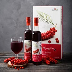 케이앤핫 [문경오미자밸리] 자연지애 문경 생 오미자청(500ml 2P), 2개, 500ml, 1개, 2개입