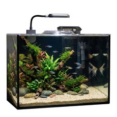 Rise Torrent 유리 어항 1.78갤런 베타 어항 수족관 스타터 키트 필터 및 조명 포함 베타 금붕어 작은 물고기 또는 새우용 소형 데스크탑 수족관 키트 435