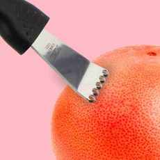 스테인리스 제스트 필러 자몽 껍질 제거기 자몽껍질제거기