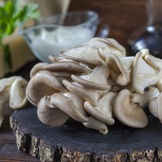 늘바른 국내산 친환경 무농약 느타리버섯200g2팩, 단품, 단품