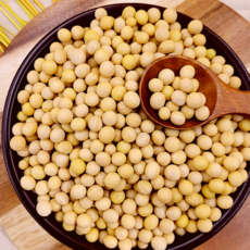 국산 백태 3kg 대두 메주콩 청국장 두부, 1개