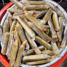 자연산 급냉 대맛조개 500g 맛조개, 1개