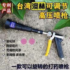 台灣奧林 可調式高壓噴槍, 1個, B2澳林噴槍+兩個原裝1.0陶瓷片