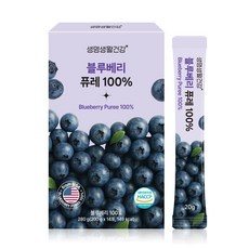 생명생활건강 블루베리 퓨레100%, 1개, 280g