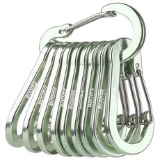 Booms Fishing CC5 다용도 카라비너 클립 10팩 5.8cm(2.3인치) 소형 미니 키체인 알루미늄 D 링 카라비너 라이트 그린, 연한 녹색
