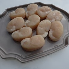 상진물산 키조개관자, 1개, (선어)중 500g