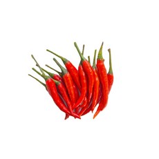 신선한 태국 생고추 프릭키누 쥐똥고추 100g, 1개