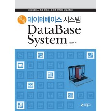 核心資料庫系統：寫給資料庫初學者 考生與現場人員的實務指南, 藝文社, 張敬愛 著