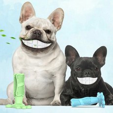 심플리로그 애견 셀프칫솔 중형 그린 반려견칫솔