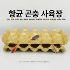 곤충 사육통 전용 방수망 밀웜 번식용 청소쉬움 채집통, 1개