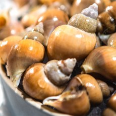 유쎌스토어 급냉 활골뱅이 800g x 1팩 캠핑장음식 수산가공식품