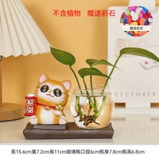 可愛招財貓魚缸擺件 桌麵魚缸 懶人魚缸 辦公室桌麵擺設 傢用透明玻璃魚缸 水培微景觀小魚缸 桌麵造景 創意生態缸, 1個, 【招財】招財貓水培魚缸【中號】