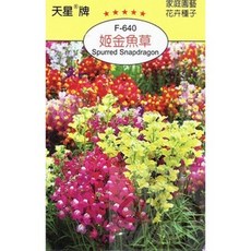 天星牌 姬金魚草Spurred Snapdragon 種子 (F-640) - 野菜部屋, 1包