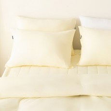 코팅블루 지퍼형 알러지케어 양면 호텔 베개커버