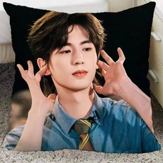 koryn 장릉혁굿즈 베개 장릉혁 옥을찾아서 중드 축옥, 양면 베개 R05