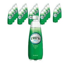 롯데칠성 트레비 플레인, 300ml, 41개