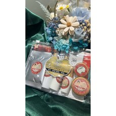 天淯自然生機 嚴選天然漢方配方 唐妝 旅遊組.隨身保養組:卸妝 洗面乳 洗顏粉 化妝水 精華 亮白或痘痘霜, 1個, 亮白淡化旅行組,調理痘痘肌油性敏感旅行組