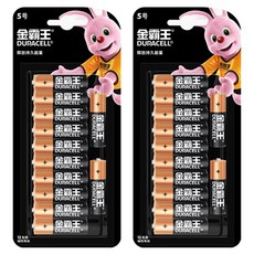 듀라셀 알칼라인 AA 건전지, 2개, 12개입